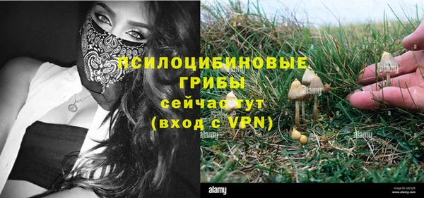 винт Няндома