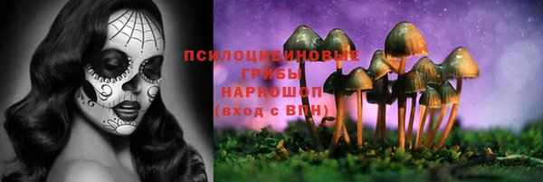 крисы Алексеевка