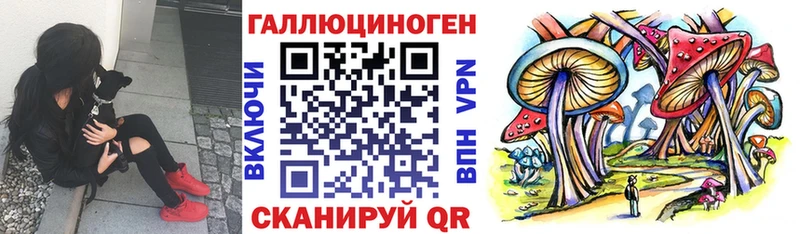 магазин    Сасово  Псилоцибиновые грибы прущие грибы 